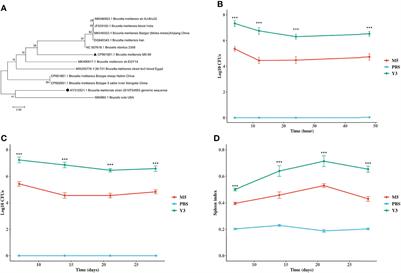 Using a Relative Quantitative Proteomic Method to Identify Differentially Abundant Proteins in Brucella melitensis Biovar 3 and Brucella melitensis M5-90